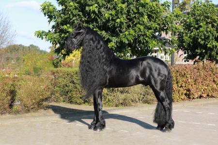 Epke 474