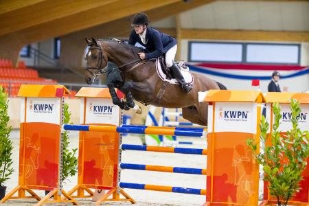 Hengstencompetitie 2018 Ermelo ActiveX