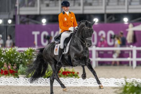 GLOCK's Dream Boy - galop GLOCK's Dream Boy