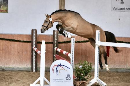 Gonna be special spring