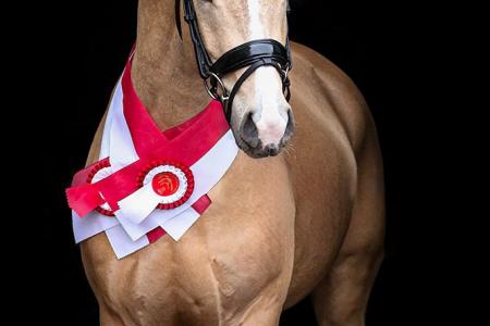 gonna be special sjerp